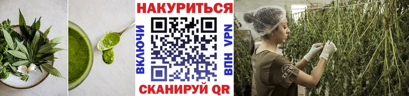 это клад  купить  сайты  кракен рабочий сайт  Новочебоксарск  Печенье с ТГК конопля 