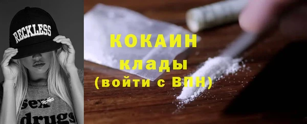 дживик Абинск