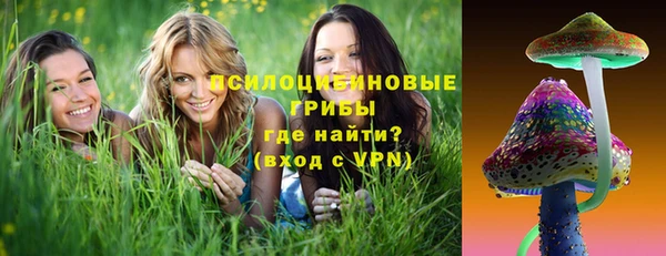 дживик Абинск
