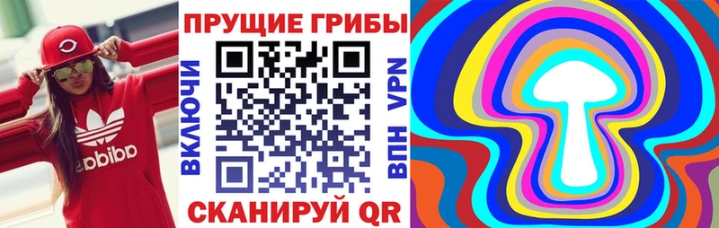 hydra зеркало  где продают   Новочебоксарск  Псилоцибиновые грибы MAGIC MUSHROOMS 